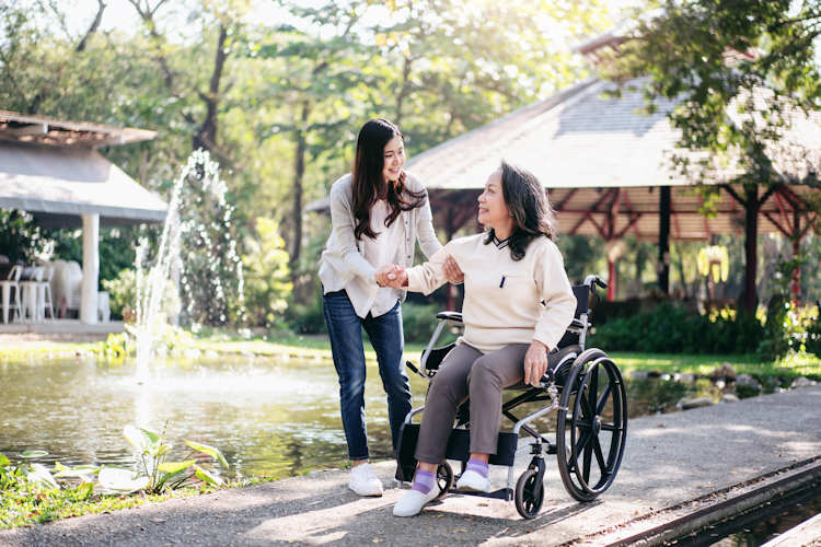 The NDIS